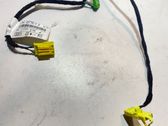 Other wiring loom