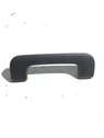 Front interior roof grab handle