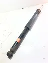 Rear shock absorber/damper