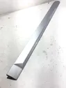 Rear door trim (molding)