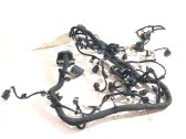 Engine installation wiring loom