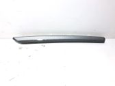 Rear door trim (molding)