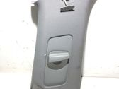 (C) pillar trim