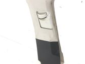 (B) pillar trim (top)