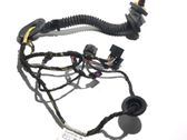 Rear door wiring loom