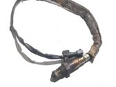 Sonde lambda