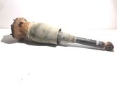 Stoßdämpfer hinten