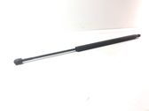 Tailgate/trunk strut/damper