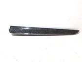 Panelės apdaila