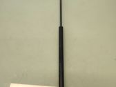 Front bonnet/hood damper/strut