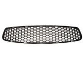 Front bumper lower grill