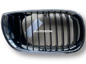 Front bumper upper radiator grill