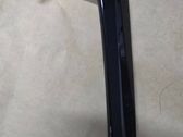 Fender trim (molding)