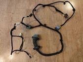 Rear door wiring loom