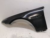 Fender
