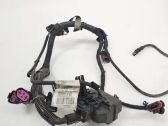 Other wiring loom