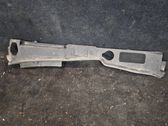 Wiper trim