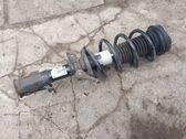 Front shock absorber with coil spring
