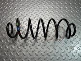 Rear coil spring