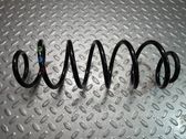 Rear coil spring