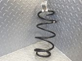 Front coil spring