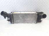 Intercooler radiator