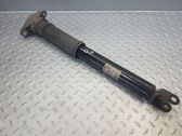 Rear shock absorber/damper