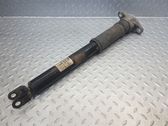 Rear shock absorber/damper