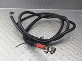 Positive wiring loom