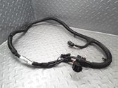 Other wiring loom