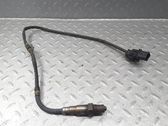 Sonde lambda