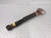 Rear shock absorber/damper