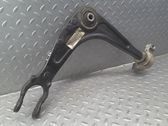 Front lower control arm/wishbone