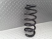Front coil spring
