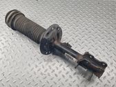 Front shock absorber/damper