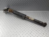 Rear shock absorber/damper