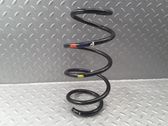 Front coil spring