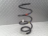 Front coil spring