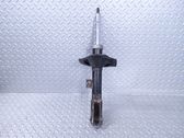 Front shock absorber/damper