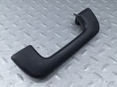 Front interior roof grab handle