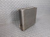 Gaisa kondicioniera radiators (salonā)