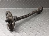 Balance shaft