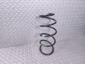 Front coil spring