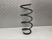 Front coil spring