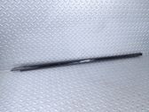 Front door glass trim molding