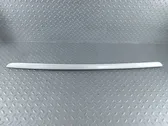 Windshield trim