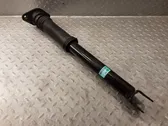 Rear shock absorber/damper