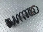 Rear coil spring