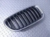 Front bumper upper radiator grill