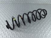 Rear coil spring